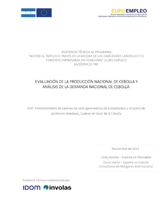 Cadena-Valor-Cebolla_Evaluacion-Produccion-Demanda-Nacional