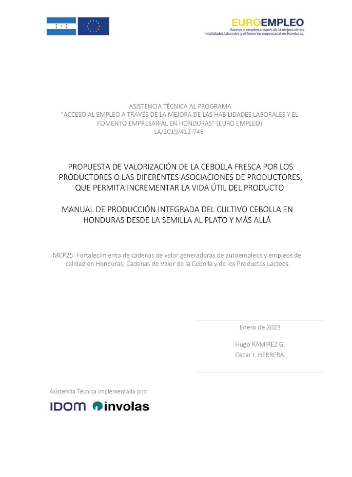 Cadena-Valor-Cebolla_Propuesta-Valorizacion-Cebolla